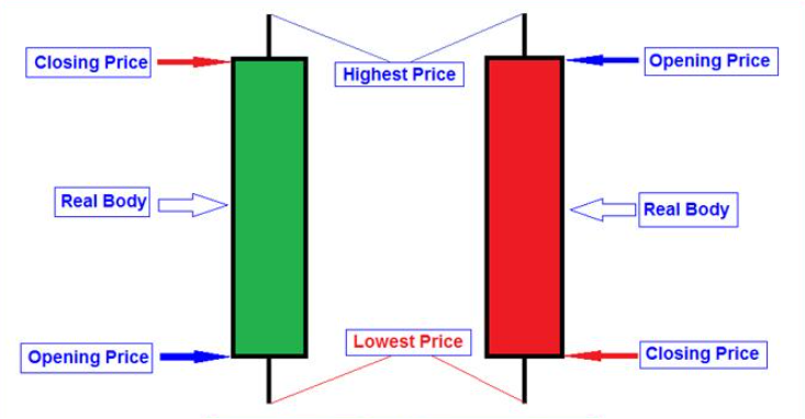 Jenis Chart